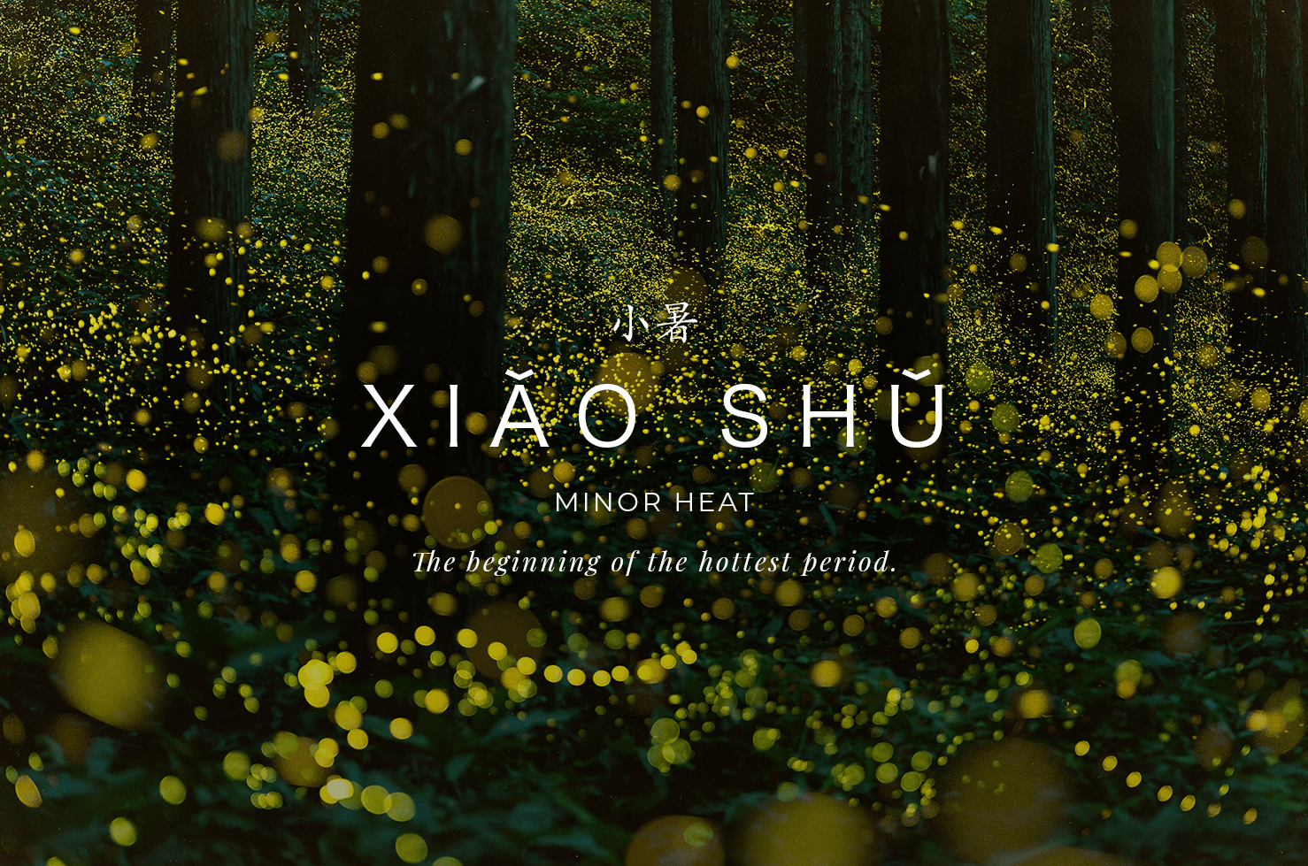小暑 Xiǎo Shǔ: Minor Heat (TMC Summer 5 Full Episode + Q&A)